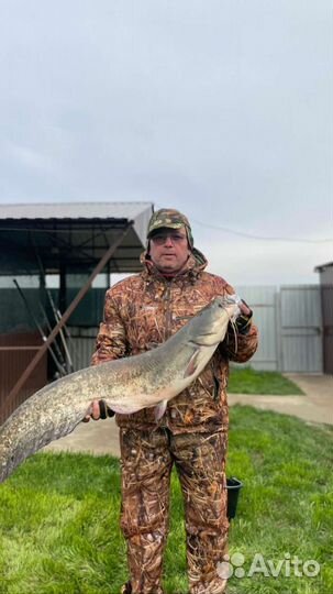 Рыбалка в Астраханской области