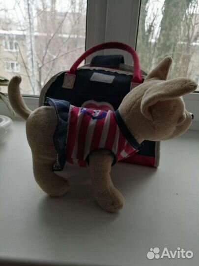 Собачка чичи лав