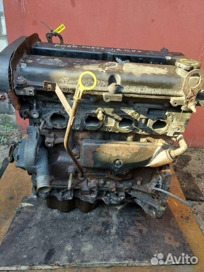 Двигатель Ford Focus 1 (1998 - 2005) 1.8 XS7GBA ey