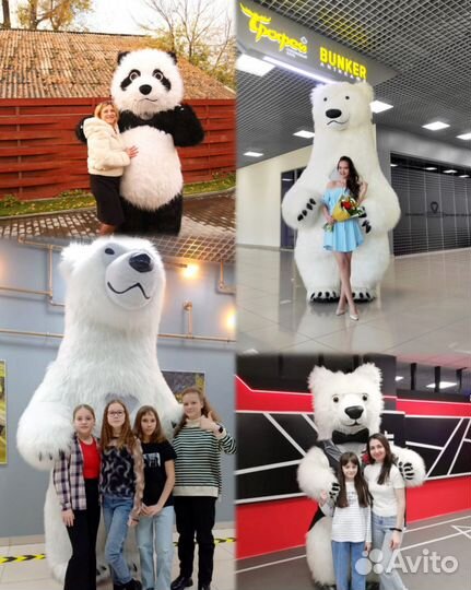 Ростовая кукла белый медведь поздравление. Панда