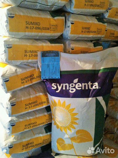 Семена гибридов подсолнечника классические