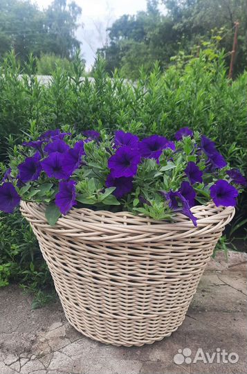 Кашпо из ротанга 40 литров