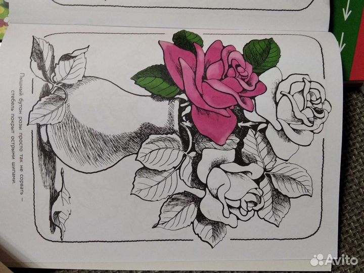 Альбом для раскрашивания. Цветы из сада