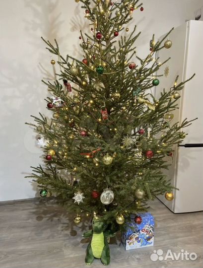 Ель. Отборная Новогодняя ель с доставкой
