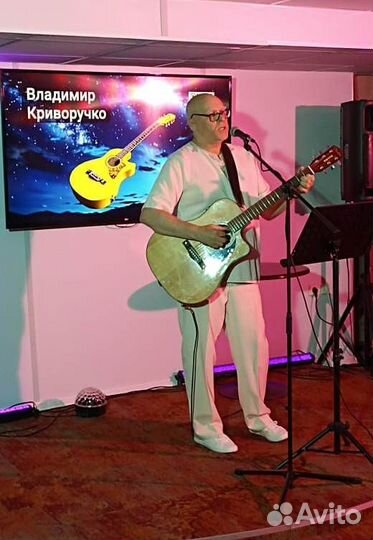 Вокалист-гитарист, бард на мероприятие