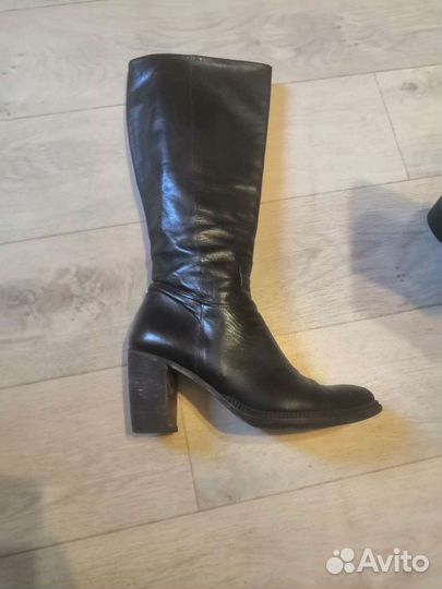 Сапоги женские