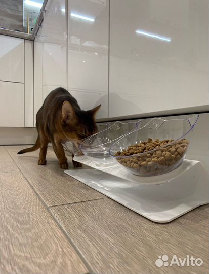 Миски для кошек на подставке