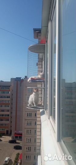 Балкончик для кошки