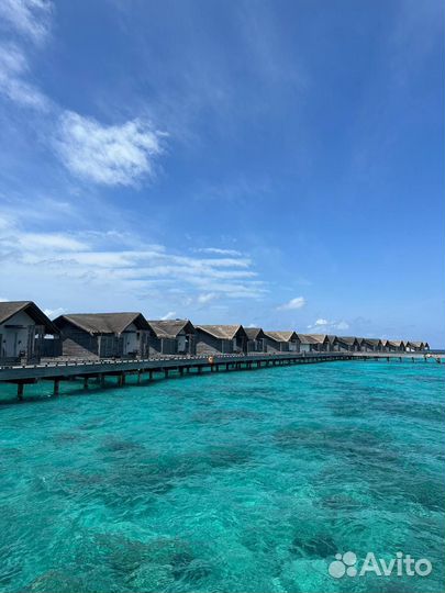 Горящий тур на Мальдивы