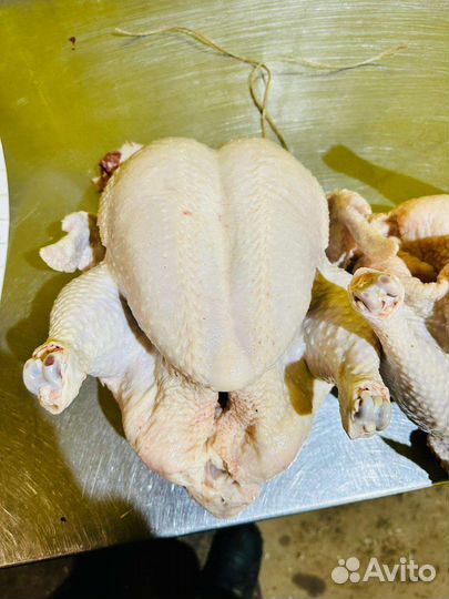 Мясо домашнего бройлера