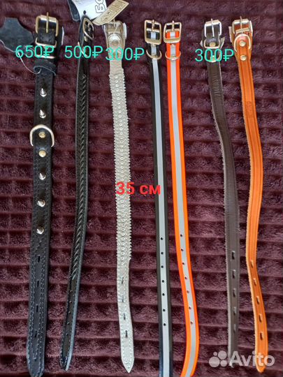 Ошейники, поводки