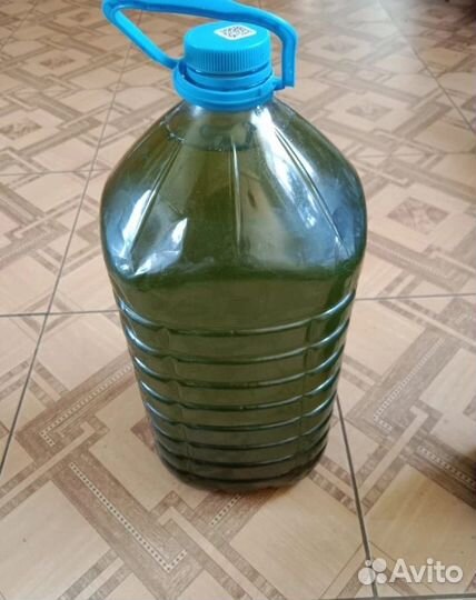 Хлорелла для водоемов и растения