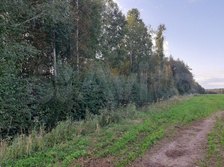 Участок 5,8 га (СНТ, ДНП)