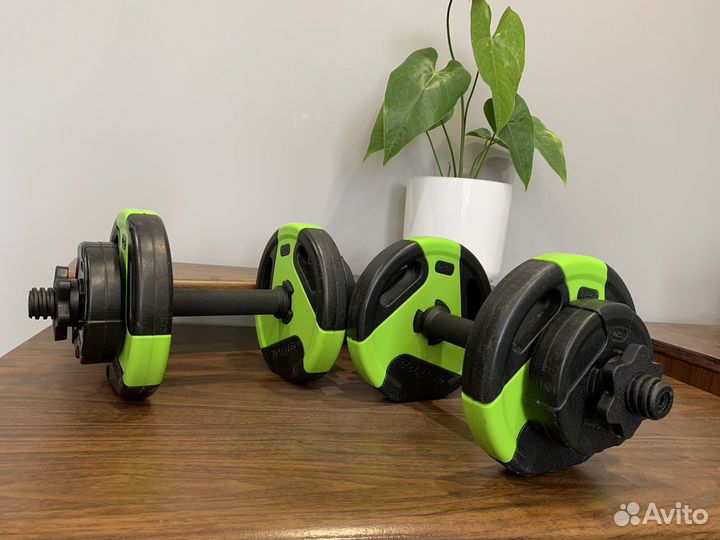 Гантели разборные torneo