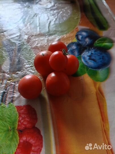 Помидоры домашние