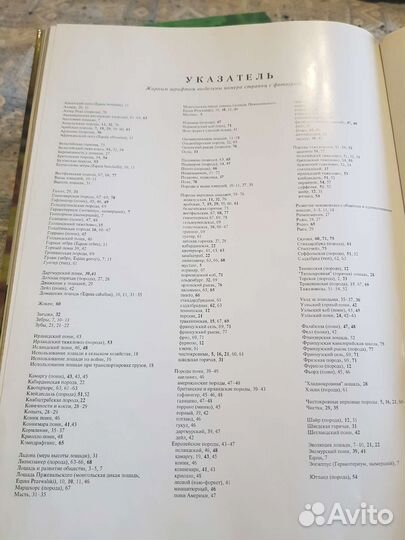 Книга о лошадях