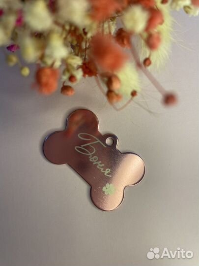 Адресники для собак и кошек