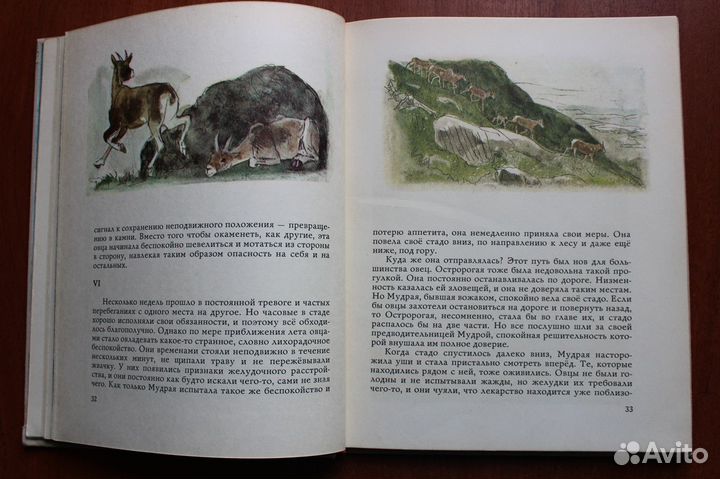 Сетон-Томпсон Э.Крэг - кутенейский баран.1974г