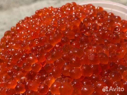 Красная Икра Камчатка 2023г, доставка