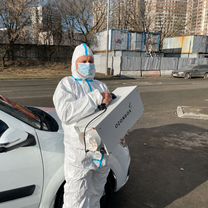 Уничтожение клопов. Безопасно и без запаха, Москва