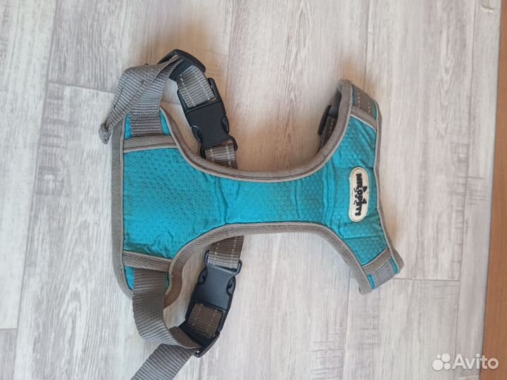 Амуниция для собак