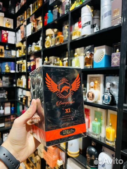 Bucephalus NXI 100 ml