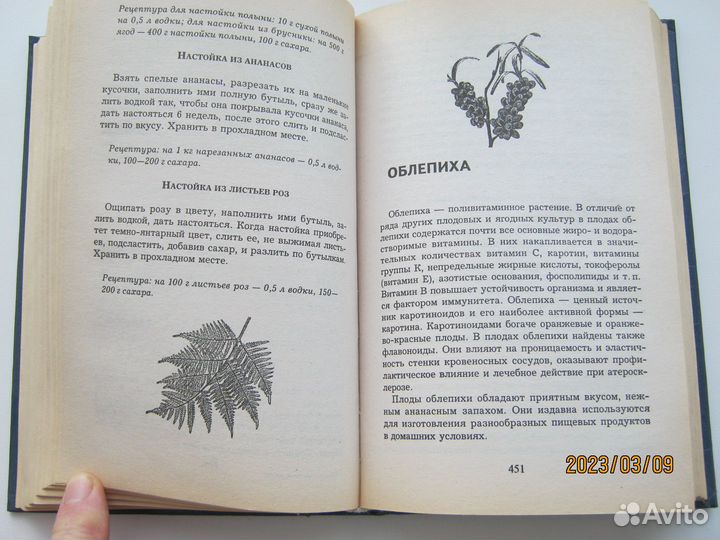 Большой рецептурный словарь по консервированию