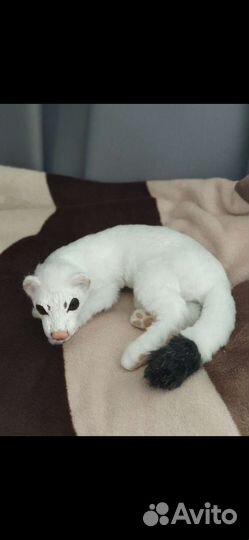 Игрушка коллекционная 