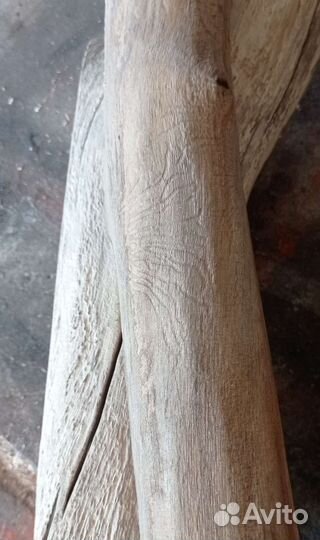 Коряги, ветки, стволы. Карагач, вяз