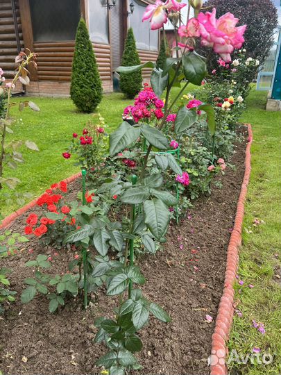 Опора для растений