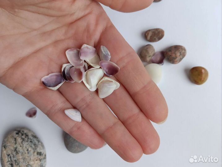 Декоративные морские камушки и ракушки