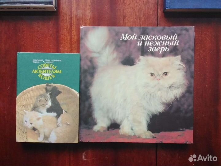 Пчелы, огород, домашние животные