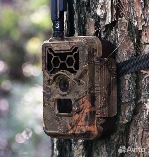 Настройка фотоловушек удаленно (MMS, smtp)