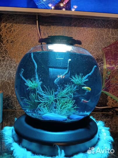 Аквариум Tetra Cascade Globe Duo Waterfall, 6,8 л