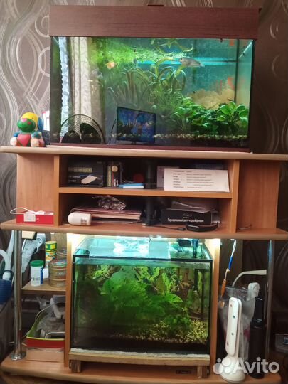 Аквариум