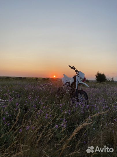 Питбайк kayo Basic 125