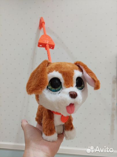 Собака каталка