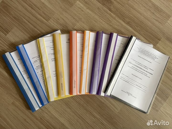 Печать отчетов, рабочих тетрадей, скан документов