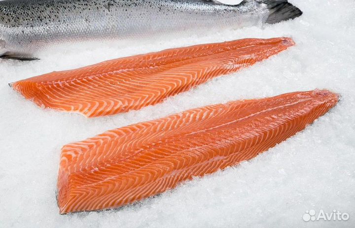 Филе семги свежемороженое