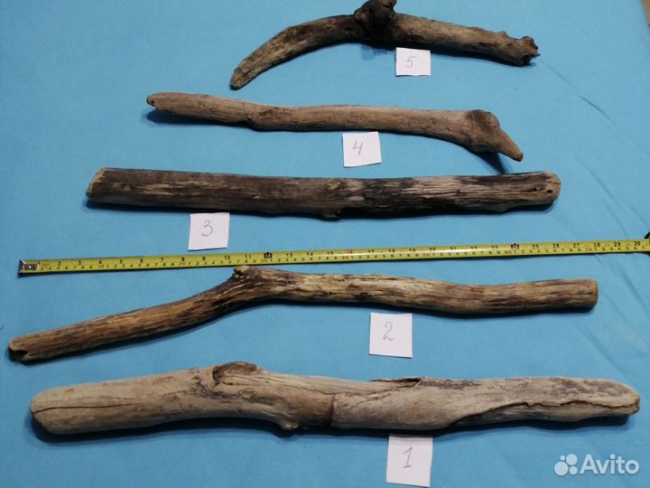 Коряга дрифтвуд