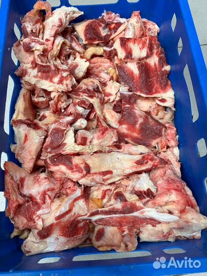 Говядина, суповой набор, обрезь, кости для собак