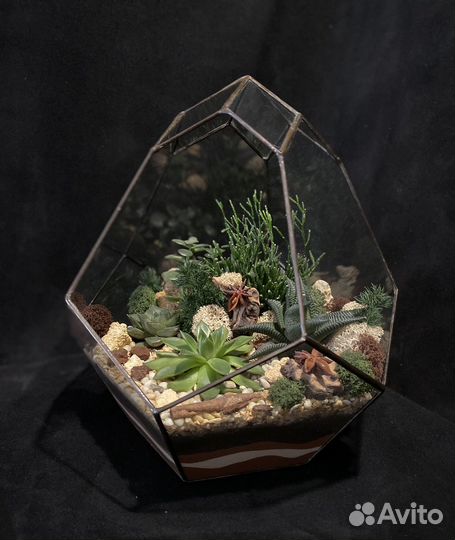 Флорариум,цветочная композиция