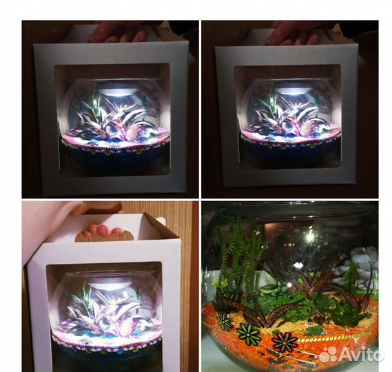 Флорариум премиум класса