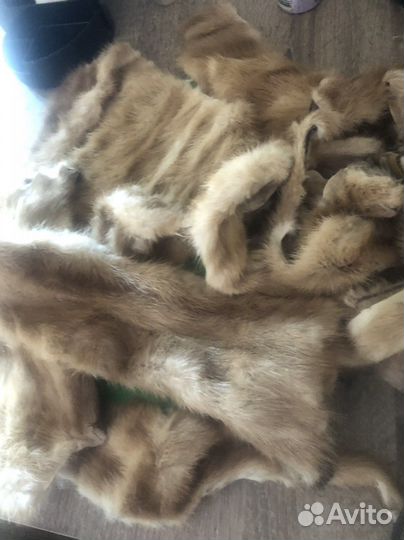 Кусочки меха норки