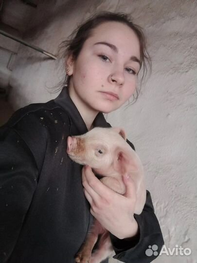 Ассистент ветеринарного врача