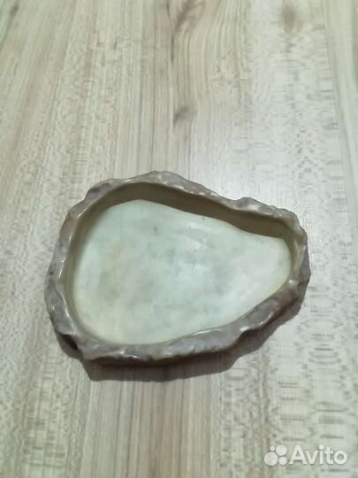 Террариум для черепахи