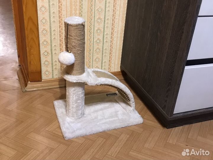 Когтеточка для котят