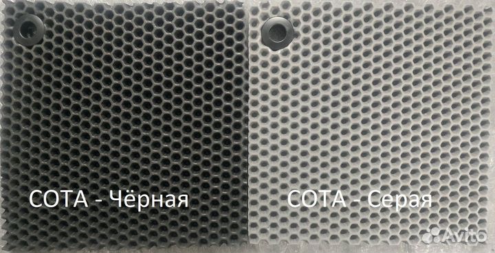 Ева лист, Эво лист