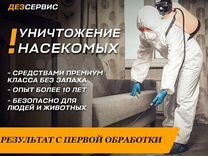 Уничтожение тараканов и клопов в Георгиевске