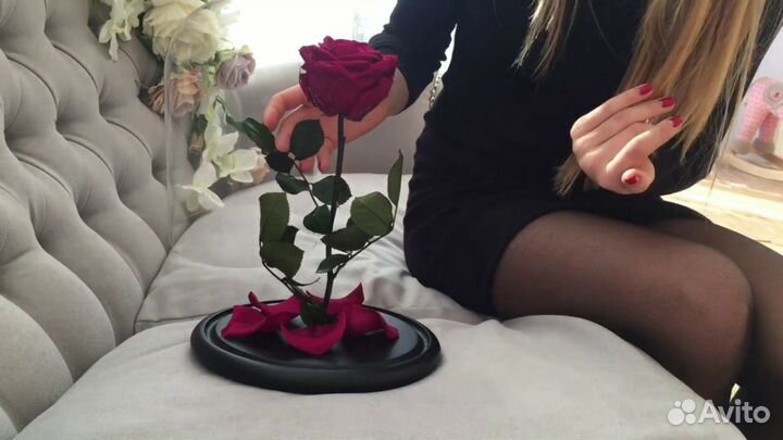 Роза в колбе